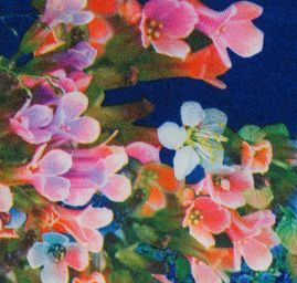 Saténová šála s květinovým vzorem v modré