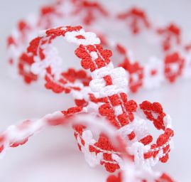 Galónové prámik biela / červená šírka 11 mm