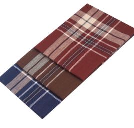 Kapesník pánský  mix