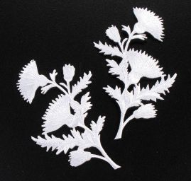 Květinová květ bodláku párová aplikace bílá