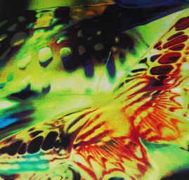 Šifón vzor pestrých motýlů  zelený podklad