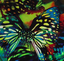 Šifón vzor pestrých motýlů  zelený podklad