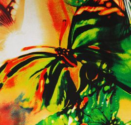 Šifón vzor pestrých motýlů krémový podklad