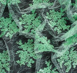 Krajka na vzorovém tylu květy světle zelená