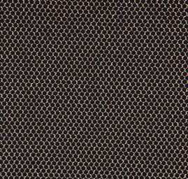 Zlatočerný tyl velká oka