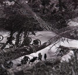 Efektní krajka výšivka na tylu černá