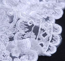 Efektní krajka vyšívaná na tylu bílá