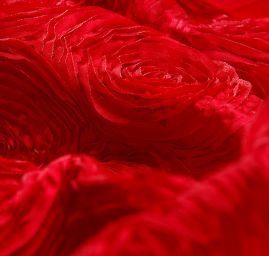 Efektní látka stužkové růže na tylu červené