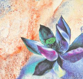 Hedvábný satén květinový motiv