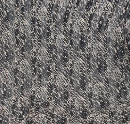 Látka vzorový šifon černobílý