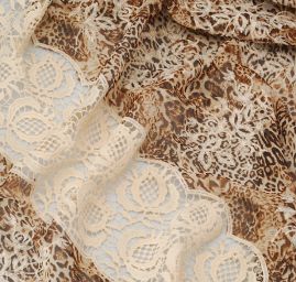 Krajka šifon brown