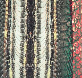 Úplet viskoza zvířecí vzor