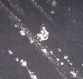 Hedvábný atlas kupón kapky vody černá bílá