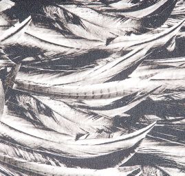 Hedvábný satén vzor peří černobílý