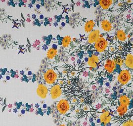 Žoržet rozkvetlá louka bordura