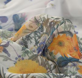 Žoržet rozkvetlá louka bordura