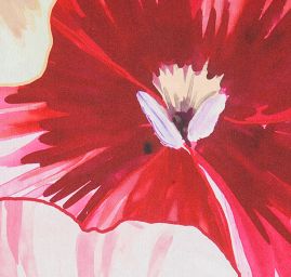 Saténová látka tisk velké květy macešky růžové