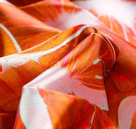 Atlas motiv motýl skořicově hnědý