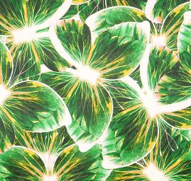 Atlas motiv motýl zelený