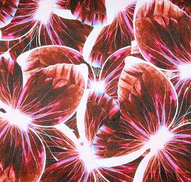 Atlas motiv motýl fialový