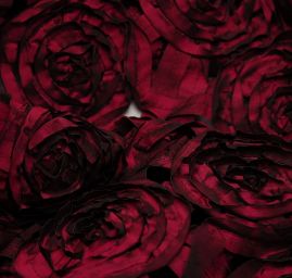 Efektní tkanina stužková aplikace růže cyklámová