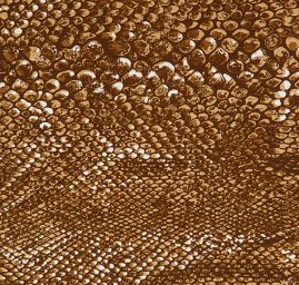 Pevná bavlněná látka s motivem hadí kůže hnědá