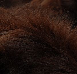 Imitace kožešiny středně dlouhý vlas tmavě hnědý