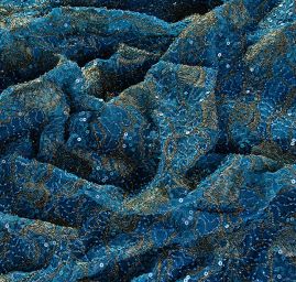 Efektní krajka motiv růží tyrkys/zlatá