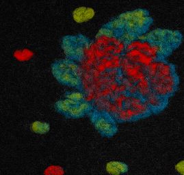 Art textil vařená vlna vzor růží a puntíků černá