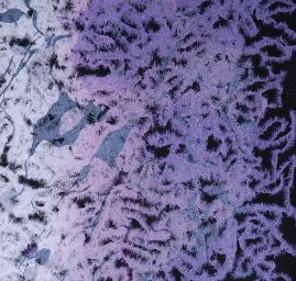 Exkluzivní látka romantický motiv II.jakost