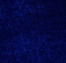 Samet pružný velvet nivea modrý