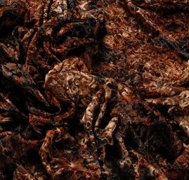 Samet vypalovaný ornamentální vzor hnědý