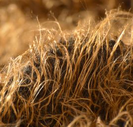 Imitace zvířecí srsti - kašmírské kozy hnědočerná