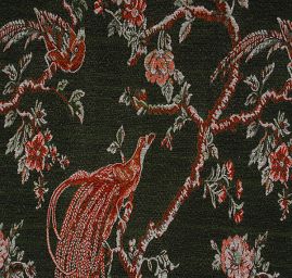 Exotic Birds Royal zelený