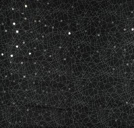 Organza lepené flitry stříbrná/černá