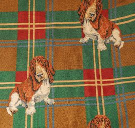 Animals - Dogs
