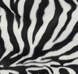 Imitace zvířecí srsti, zebra slonová kost