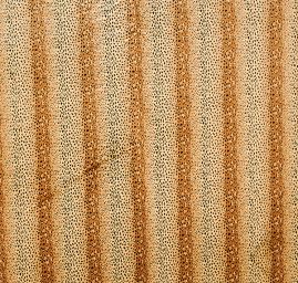 Imitace zvířecí srti gepard