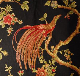 Exotic Birds Royal black