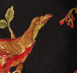 Exotic Birds Royal black