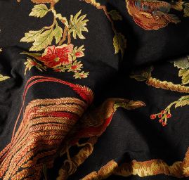 Exotic Birds Royal black