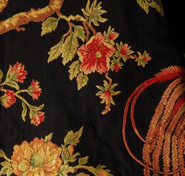 Exotic Birds Royal black