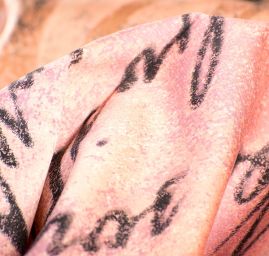 Pružná bavlněná látka přelom století