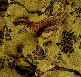 Exotic Birds Royal modrooranžový