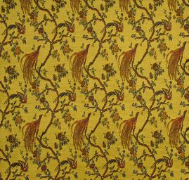 Exotic Birds Royal modrooranžový