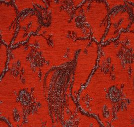 Exotic Birds Royal šedý