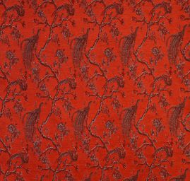 Exotic Birds Royal šedý