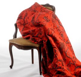 Exotic Birds Royal šedý