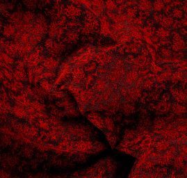 Replika historickej látky Art Fabrics Rozálie červená