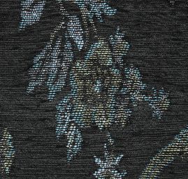 Exotic Birds Royal černá-zlatá